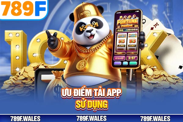 Ưu điểm tải app sử dụng