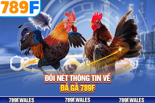 Đôi nét thông tin về đá gà 789F