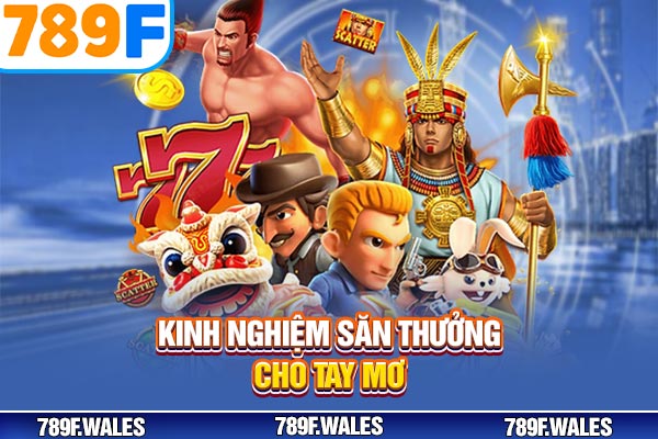 Kinh nghiệm săn thưởng cho tay mơ