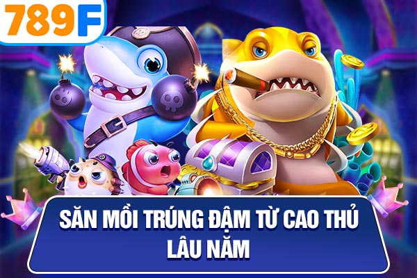 Săn mồi trúng đậm từ cao thủ lâu năm
