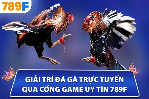 giải trí đá gà trực tuyến qua cổng game uy tín 789F
