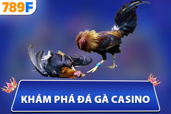 Khám Phá Đá Gà Casino - Hình Thức Giải Trí Hấp Dẫn Tại 789F